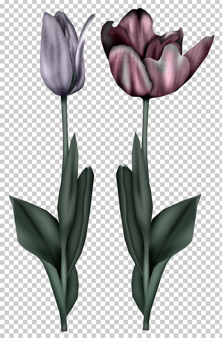 Tulip Flower Drawing Illustration PNG, Clipart, Artificial Flower, Askartelu, Black Tulip, Blue, Drawing Free PNG Download