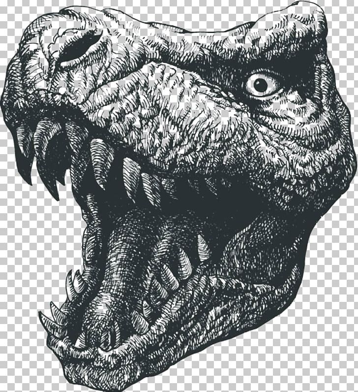 Tyrannosaurus Rex Dinosaur Drawing Illustration PNG, Clipart, Black And White, Can Stock Photo, Dinosaurs, Encapsulated Postscript, Fantasy Free PNG Download
