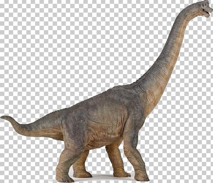 Brachiosaurus Velociraptor Stegosaurus Apatosaurus Morrison Formation PNG, Clipart, Animal Figure, Apatosaurus, Baryonyx, Brachiosaurus, Carnegie Collection Free PNG Download