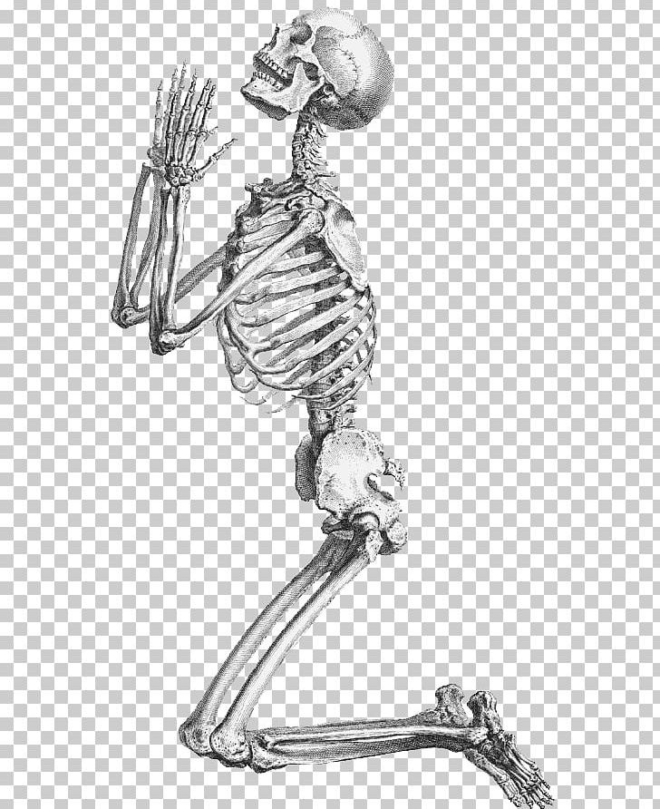 Human Skeleton Prayer Praying De Humani Corporis Fabrica Libri Septem PNG, Clipart, Anatomy, Arm, Art, Black And White, Bone Free PNG Download