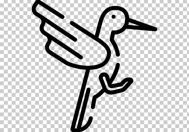 Beak Water Bird Finger PNG, Clipart, Animals, Beak, Bird, Black And White, Colibri Free PNG Download