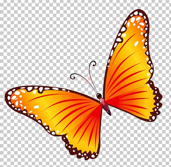 Butterfly PNG, Clipart, Arthropod, Blog, Brush Footed Butterfly, Butterflies, Butterfly Free PNG Download