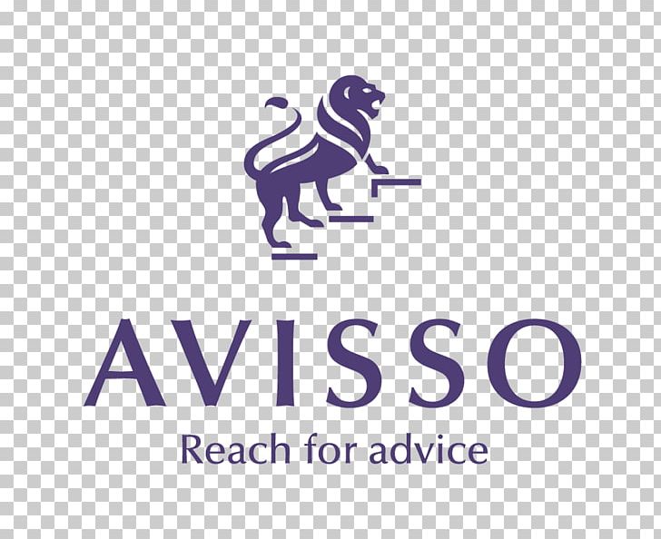 Avisso Grup Business Afacere Management PNG, Clipart, Accounting, Afacere, Area, Brand, Business Free PNG Download