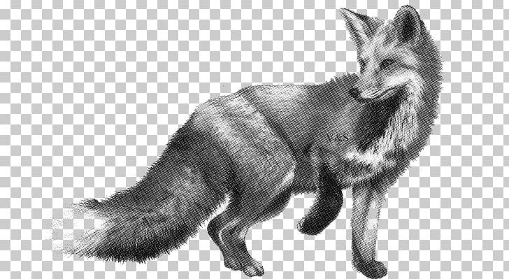 Drawing Pencil Fox Sketch PNG, Clipart, Art, Black And White, Canis Lupus Tundrarum, Carnivoran, Deviantart Free PNG Download