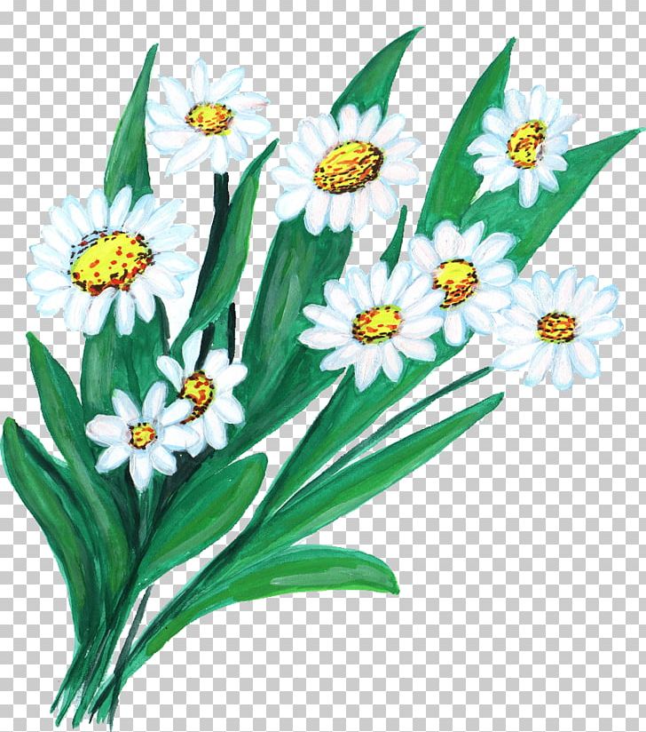 Flower Floristry Art PNG, Clipart, Art, Artwork, Daisy, Daisy Family, Flora Free PNG Download