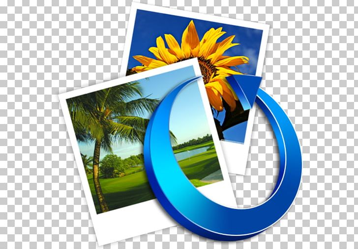 Flower Golf Course Desktop Energy PNG, Clipart, Computer, Computer Wallpaper, Desktop Wallpaper, Energy, Flower Free PNG Download