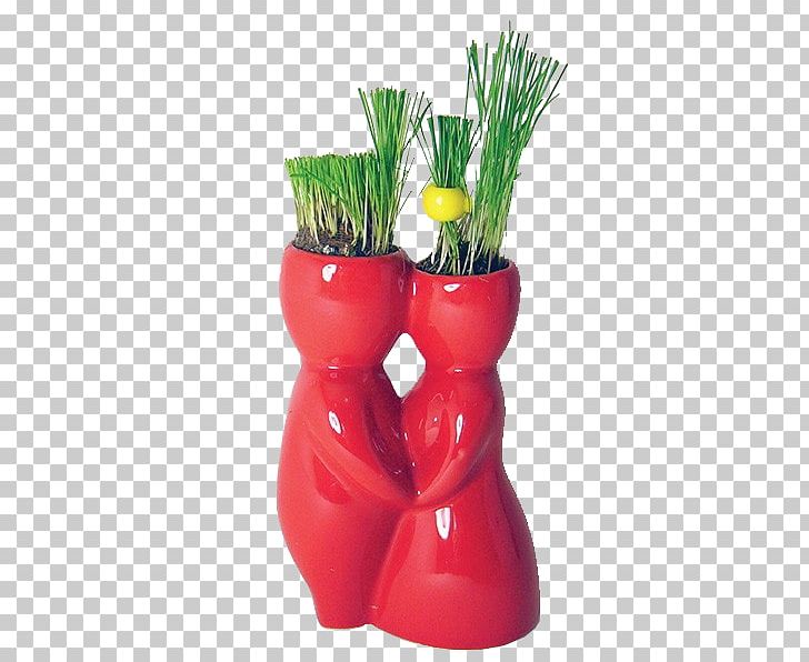 Flowerpot PNG, Clipart, Beijinho, Flowerpot, Grass, Others, Vase Free PNG Download