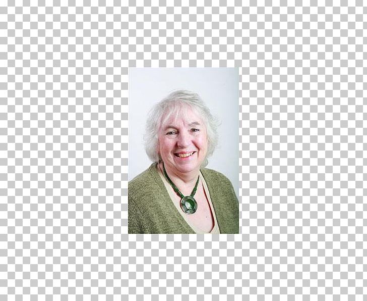 Maidstone Antony Harwood Ltd Road Councillor Leader Of The Council PNG, Clipart, Animal, Borough Of Maidstone, Budget, Carriageway, Com Free PNG Download