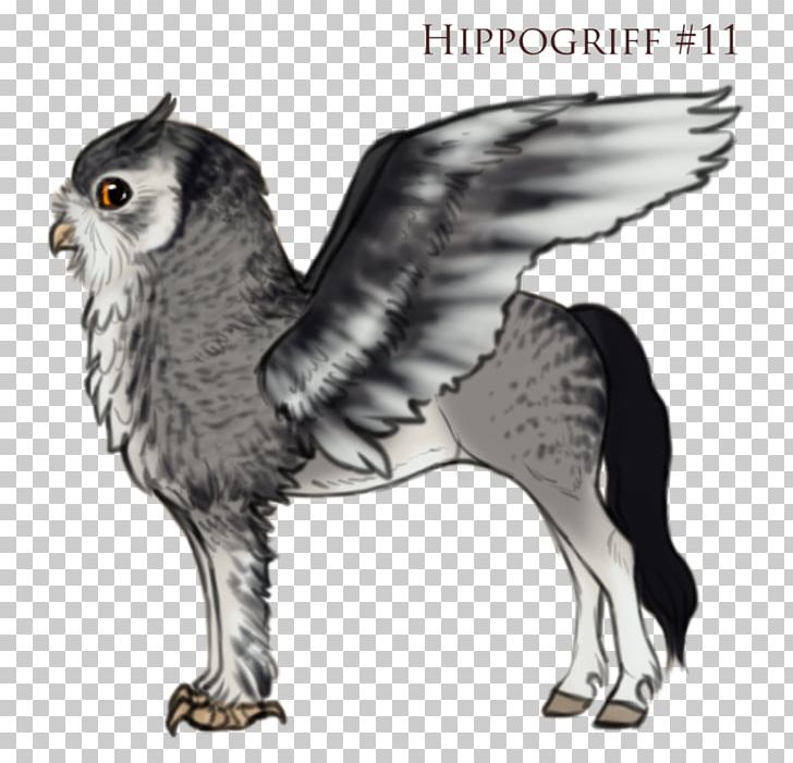 Owl Hawk Beak Wildlife PNG, Clipart, Animals, Beak, Bird, Bird Of Prey, Fauna Free PNG Download