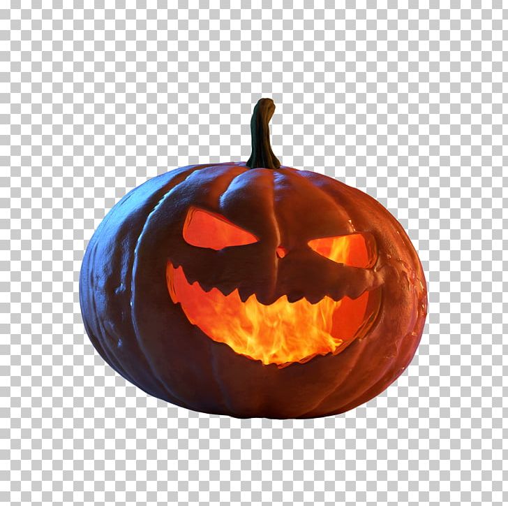 Jack-o'-lantern Winter Squash Cucurbita Maxima Calabaza PNG, Clipart,  Free PNG Download