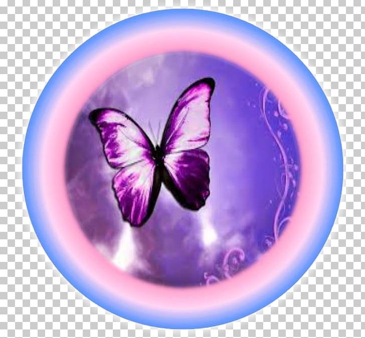 Butterfly Desktop Printing PNG, Clipart, Butterfly, Canvas Print, Circle, Desktop Wallpaper, Insect Free PNG Download