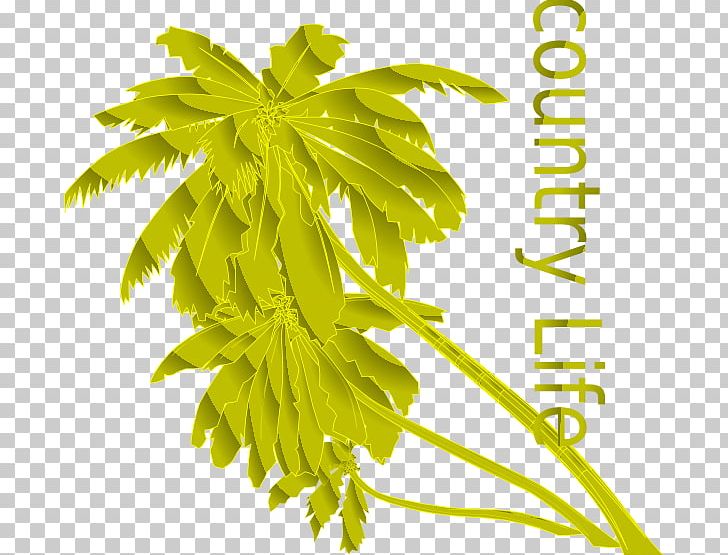 Drawing Graphics Palm Trees PNG, Clipart, Computer, Computer Animation, Country Vector, Desktop Wallpaper, Drawing Free PNG Download