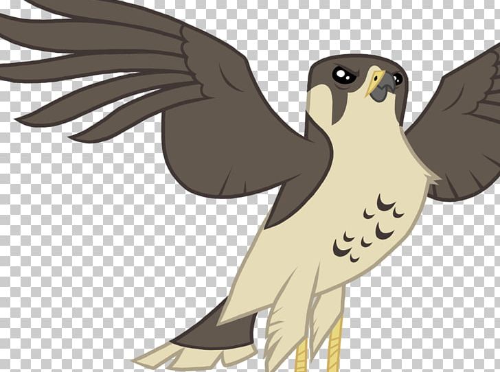 Falcon Hawk Rainbow Dash Pony PNG, Clipart, Animals, Beak, Bird, Bird Of Prey, Deviantart Free PNG Download