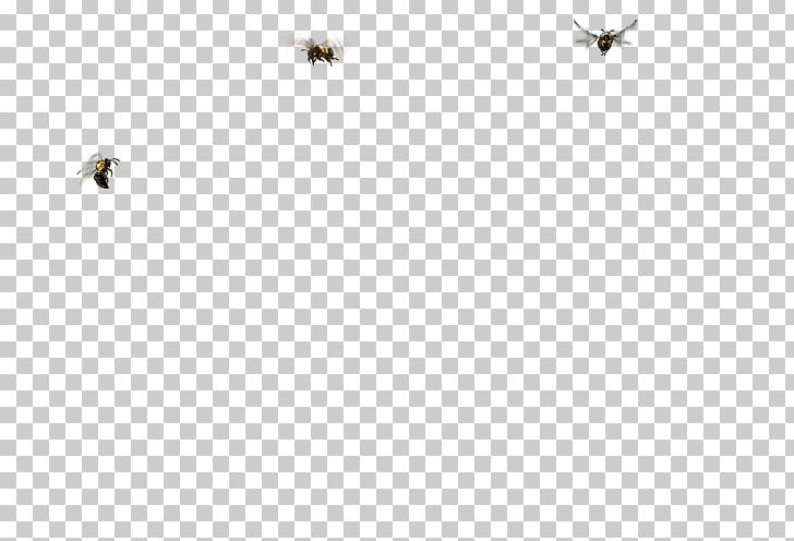 Insect Pollinator White Line Font PNG, Clipart, Animals, Bird, Black And White, Captain Mitchell, Fauna Free PNG Download