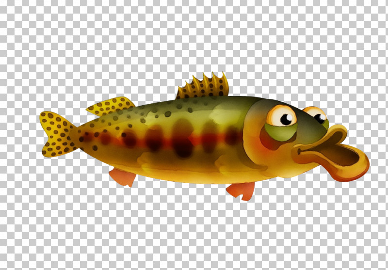 Bony Fishes Fishing Bait Fish Perch Fishing PNG, Clipart, Biology, Bony Fishes, Fish, Fishing, Fishing Bait Free PNG Download