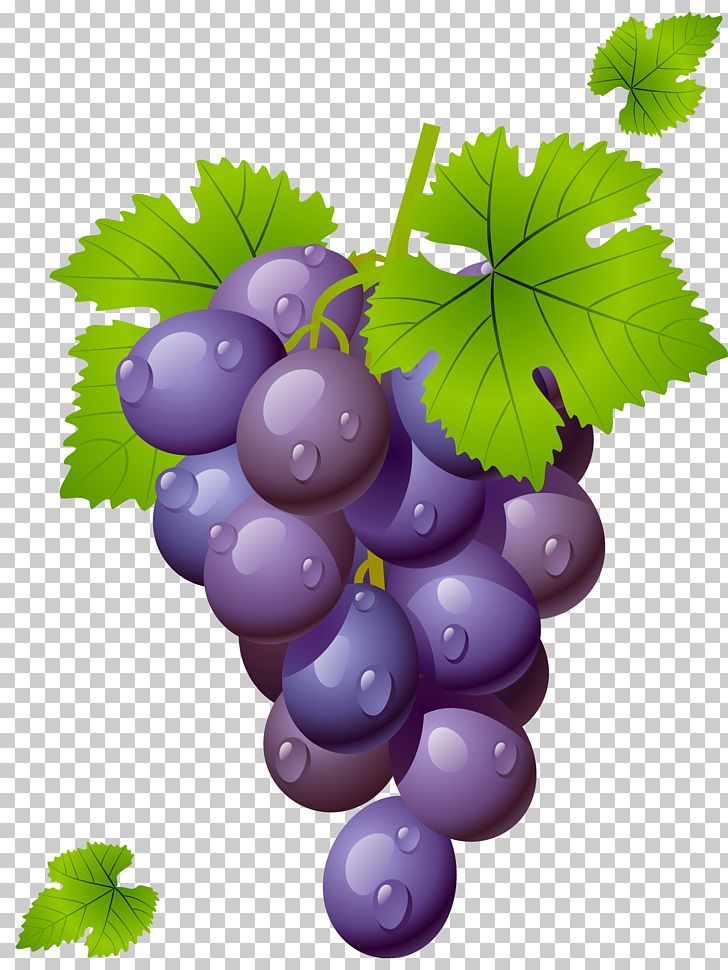 Wine Common Grape Vine Grape Leaves PNG, Clipart, Classic Clip Art, Clipart, Clip Art, Common Grape Vine, Computer Icons Free PNG Download