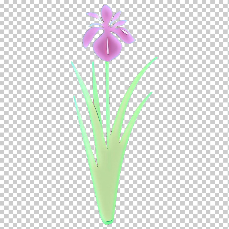 Flower Plant Petal Iris Flowerpot PNG, Clipart, Flower, Flowerpot, Iris, Pedicel, Petal Free PNG Download