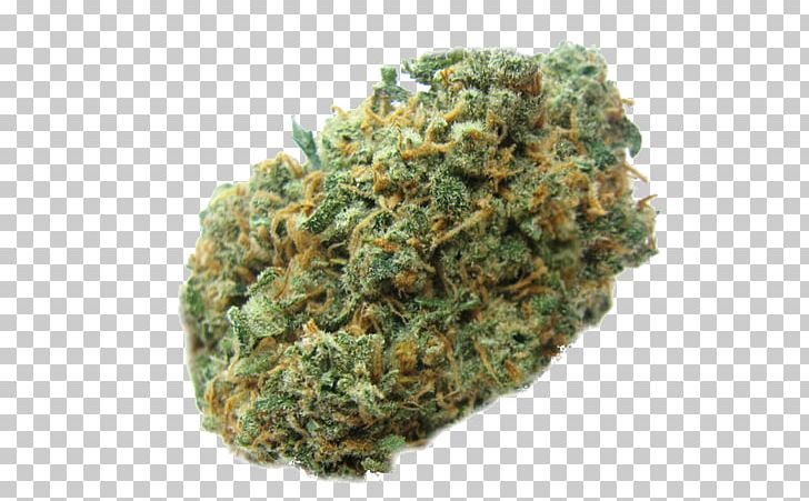 Cannabis Sativa Marijuana Medical Cannabis Cannabis Shop PNG, Clipart, Cannabidiol, Cannabis, Cannabis Sativa, Cannabis Shop, Cannabis Smoking Free PNG Download
