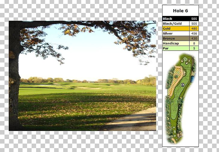 Ecosystem Meadow Golf Clubs Land Lot PNG, Clipart, Ecosystem, Flora, Golf, Golf Club, Golf Clubs Free PNG Download