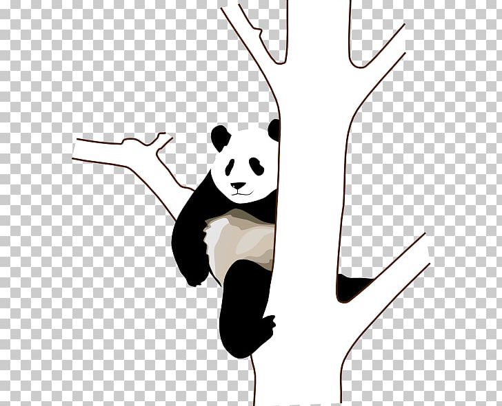 Giant Panda Bear Red Panda PNG, Clipart, Art, Bear, Carnivoran, Cuteness, Download Free PNG Download