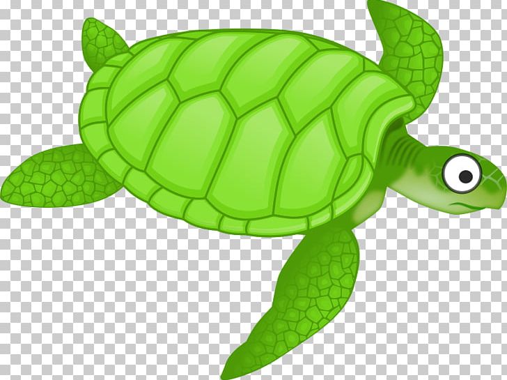 Green Sea Turtle PNG, Clipart, Animal, Caretta, Computer Icons, Emydidae, Fauna Free PNG Download