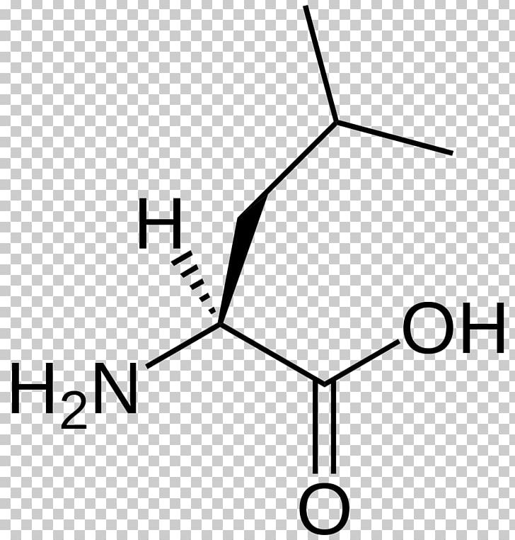 Isoleucine Branched-chain Amino Acid Essential Amino Acid PNG, Clipart, Acid, Alanine, Amino Acid, Angle, Area Free PNG Download