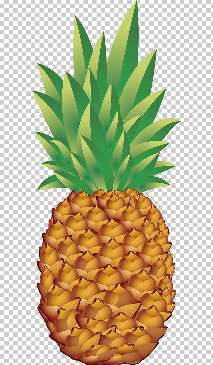 Juice Pineapple Fruit PNG, Clipart, Ananas, Bromeliaceae, Cartoon Pineapple, Euclidean Vector, Food Free PNG Download