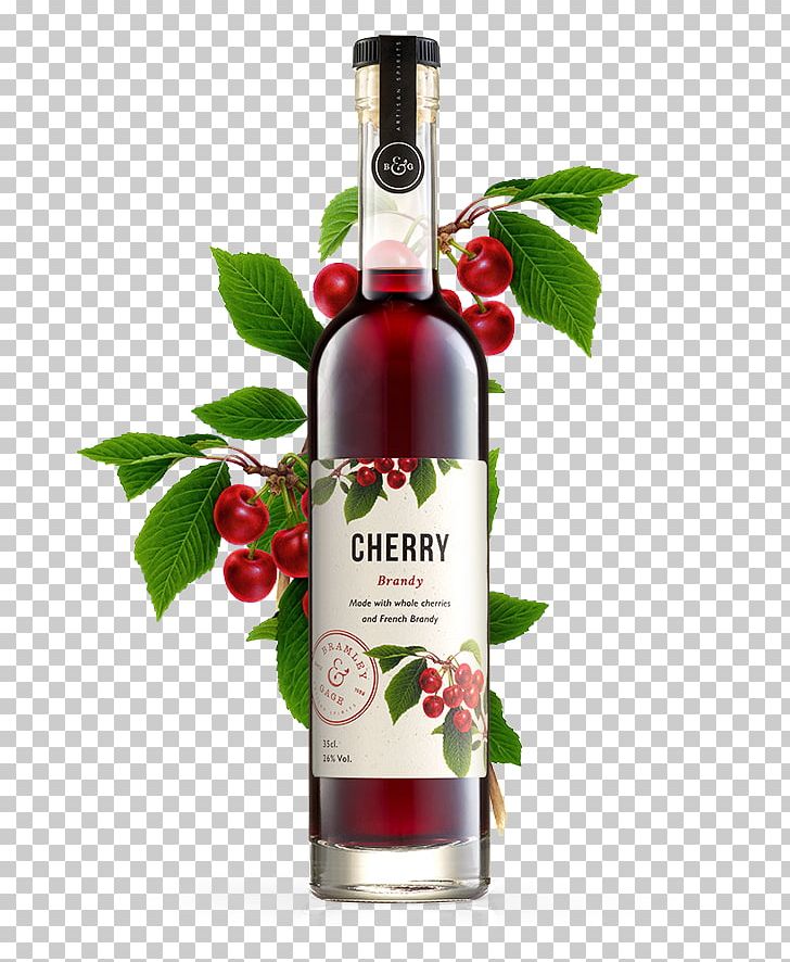 Liqueur Brandy Wine Distilled Beverage Gin PNG, Clipart, Alcohol By Volume, Alcoholic Beverage, Brandy, Cherry, Cherry Brandy Free PNG Download