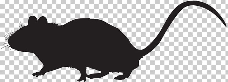 Mouse Silhouette Cat Photography PNG, Clipart, Animals, Black, Black And White, Carnivoran, Cat Free PNG Download