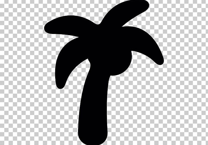 Coconut Arecaceae Computer Icons PNG, Clipart, Arecaceae, Black And White, Coconut, Coconut Tree Silhouette, Computer Icons Free PNG Download