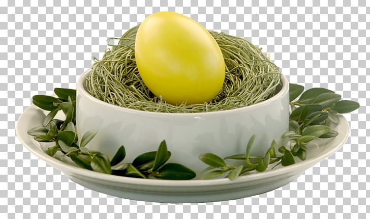 Easter Egg Bird Christmas PNG, Clipart, Bird, Bird Nest, Christmas, Easter, Easter Egg Free PNG Download