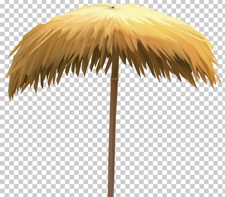 Umbrella Beach PNG, Clipart, Arecales, Beach, Beach Umbrella, Beach Umbrella Cliparts, Blog Free PNG Download
