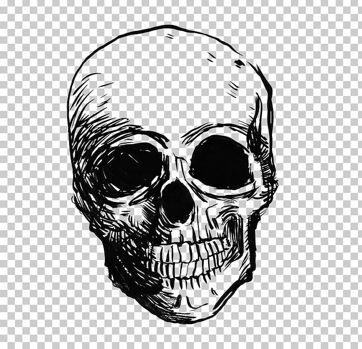 Wine /m/02csf Jaw Skull Drawing PNG, Clipart, Art Museum, Behance, Black And White, Bone, Drawing Free PNG Download