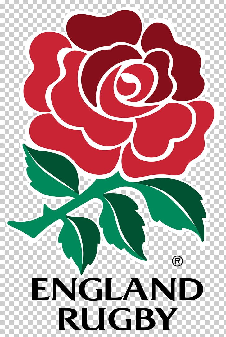 England National Rugby Union Team Six Nations Championship Irish Rugby PNG, Clipart, Area, Artwork, Cut Flowers, Flower, Leaf Free PNG Download