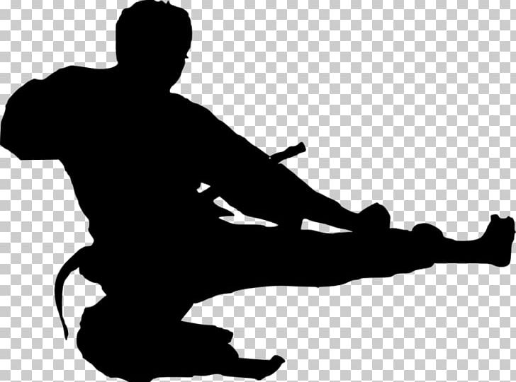 Karate Taekwondo Martial Arts PNG, Clipart, Black, Black And White, Bushido, Hand, Human Behavior Free PNG Download