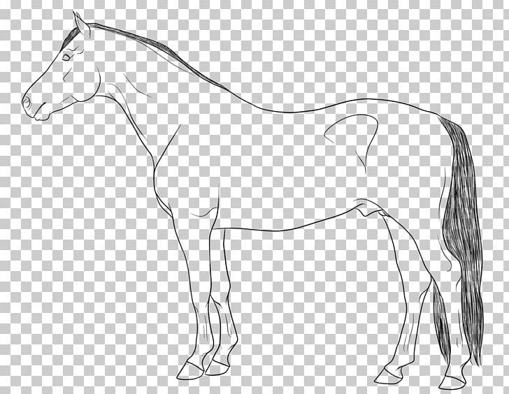 Mule Line Art Horse Stallion PNG, Clipart, Animal Figure, Animals, Art, Artwork, Black And White Free PNG Download