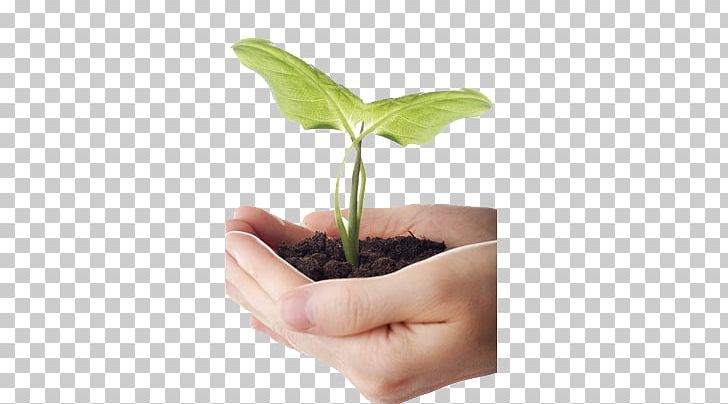 Plant Soil PNG, Clipart, Alternative Medicine, Crop, Download, Encapsulated Postscript, Finger Free PNG Download