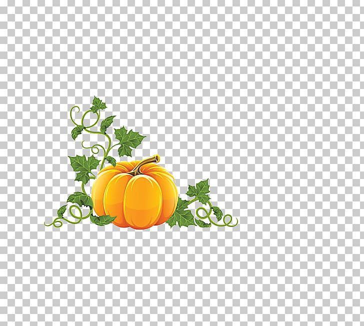 Pumpkin Halloween PNG, Clipart, Citrus, Computer Wallpaper, Drawing, Encapsulated Postscript, Food Free PNG Download