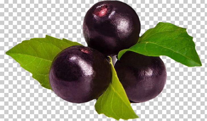 Açaí Na Tigela Açaí Palm Berry Smoothie Concord Grape PNG, Clipart, Acai, Acai Berry, Acai Na Tigela, Antioxidant, Berry Free PNG Download