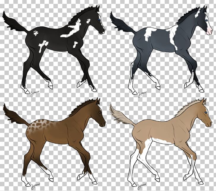 Mustang Foal Colt Stallion Mare PNG, Clipart, Animal Figure, Bridle, Colt, Foal, Halter Free PNG Download