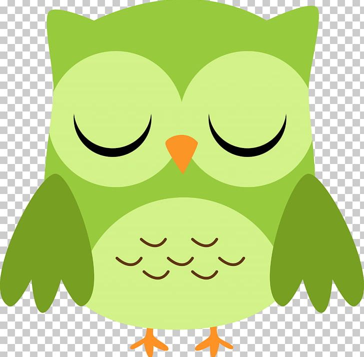 Owl Blue-green PNG, Clipart, Amphibian, Animals, Beak, Bird, Bird Of Prey Free PNG Download