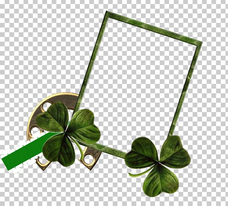 Saint Patrick's Day PNG, Clipart, Blog, Flower, Grass, Green, Holidays Free PNG Download