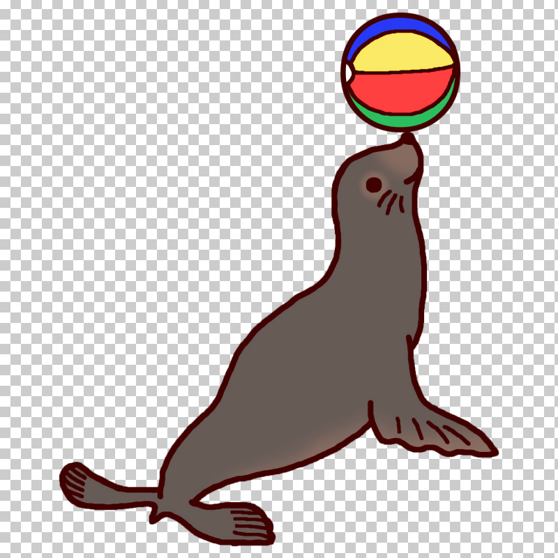 Sea Lions Seals Beak Line Tail PNG, Clipart, Beak, Line, Sea Lions, Seals, Tail Free PNG Download