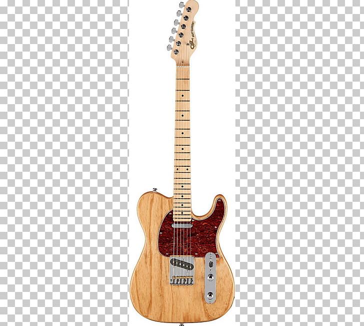Fender Telecaster Thinline Fender Stratocaster Fender American Professional Telecaster Fender Musical Instruments Corporation PNG, Clipart, Ash, Bass Guitar, Electric Guitar, Fender American Deluxe Series, Guitar Accessory Free PNG Download