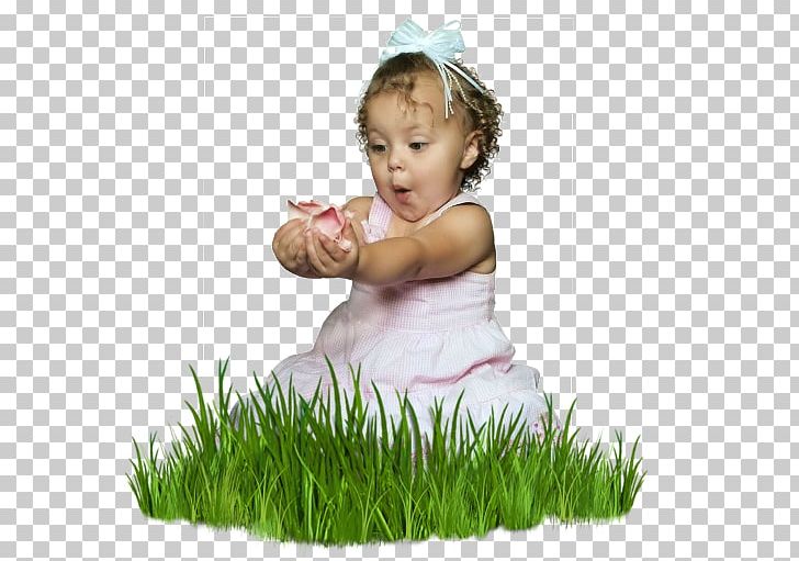 Lawn PNG, Clipart, Chamomile, Child, Desktop Wallpaper, Despicable Me, Download Free PNG Download