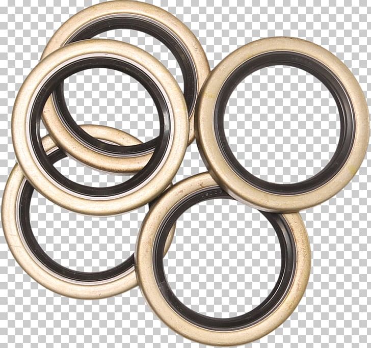 01504 Ball Bearing Silver Body Jewellery PNG, Clipart, 01504, Auto Part, Ball Bearing, Bearing, Body Free PNG Download