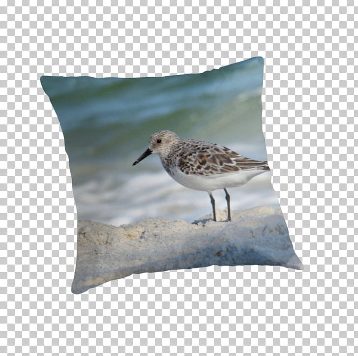 Cushion Beak Throw Pillows Fauna PNG, Clipart, Beak, Bird, Cushion, Fauna, Furniture Free PNG Download