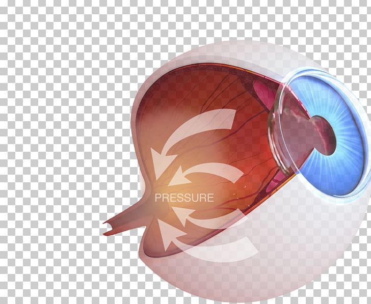 Female Genital Cutting The Eye In 3D Hardcover Female Genital Mutilation PNG, Clipart, Book, Female Genital Mutilation, Hardcover, Objects, Personal Protective Equipment Free PNG Download