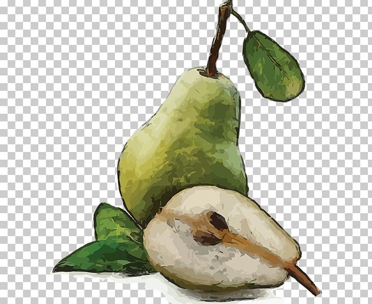 Pear Fruit Watercolor Painting PNG, Clipart, Armut, Auglis, Drawing, Encapsulated Postscript, Food Free PNG Download