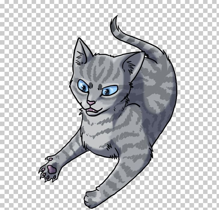 Kitten Whiskers American Wirehair Jayfeather Korat PNG, Clipart,  Free PNG Download